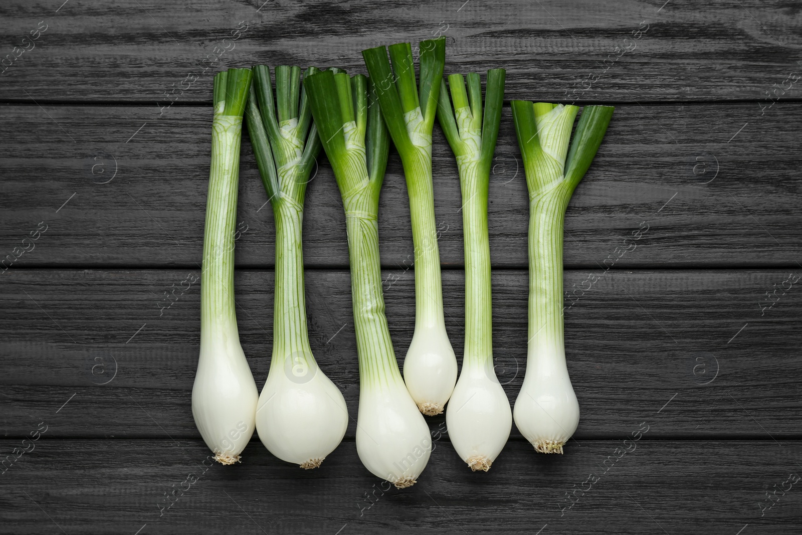 Photo of Whole green spring onions on black wooden table, flat lay