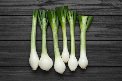 Photo of Whole green spring onions on black wooden table, flat lay