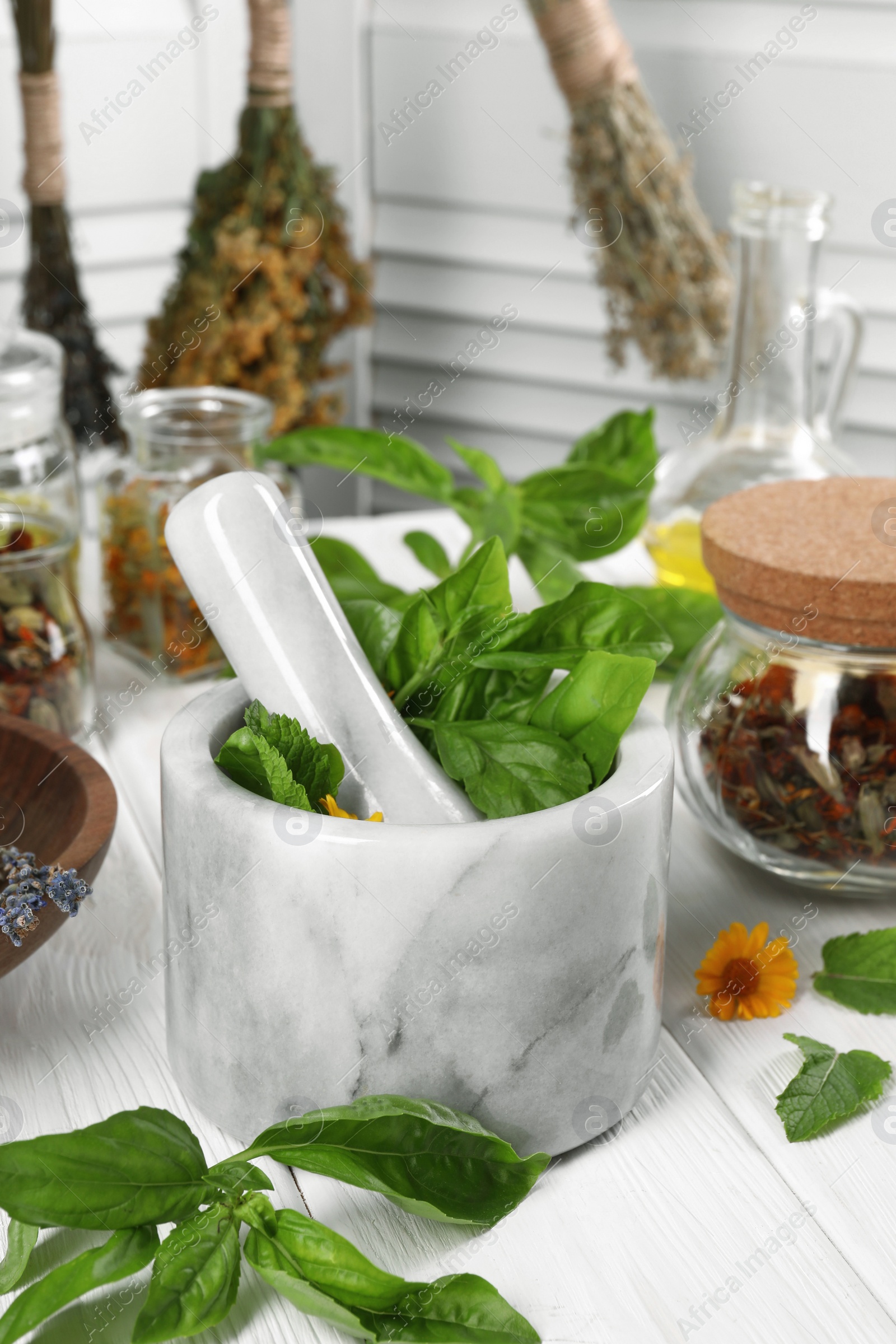 Photo of Mortar with pestle and many different medicinal herbs on white wooden table