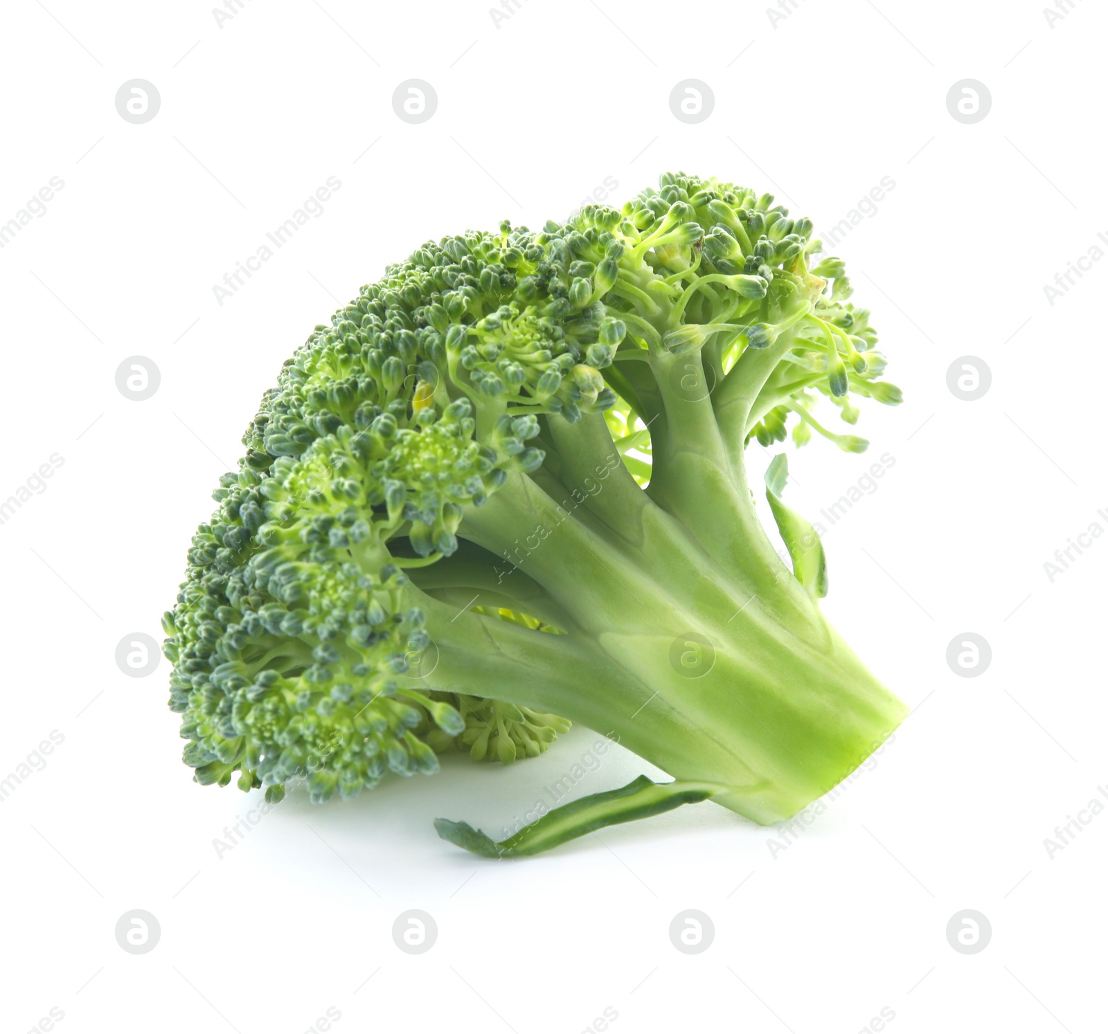 Photo of Fresh broccoli isolated on white. Edible green plant