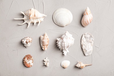 Photo of Flat lay composition with seashells on gray background. Beach objects