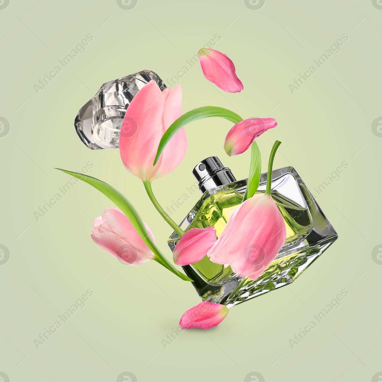 Image of Bottle of perfume and tulips in air on olive background