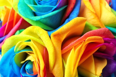 Photo of Amazing rainbow rose flowers as background