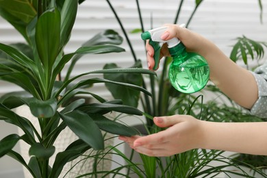 Photo of Woman spraying green houseplants indoors, closeup view