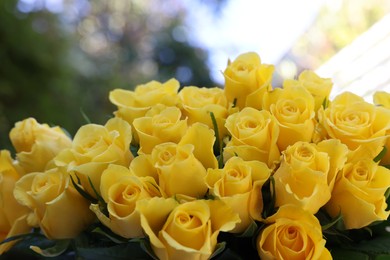 Beautiful bouquet of yellow roses outdoors, closeup