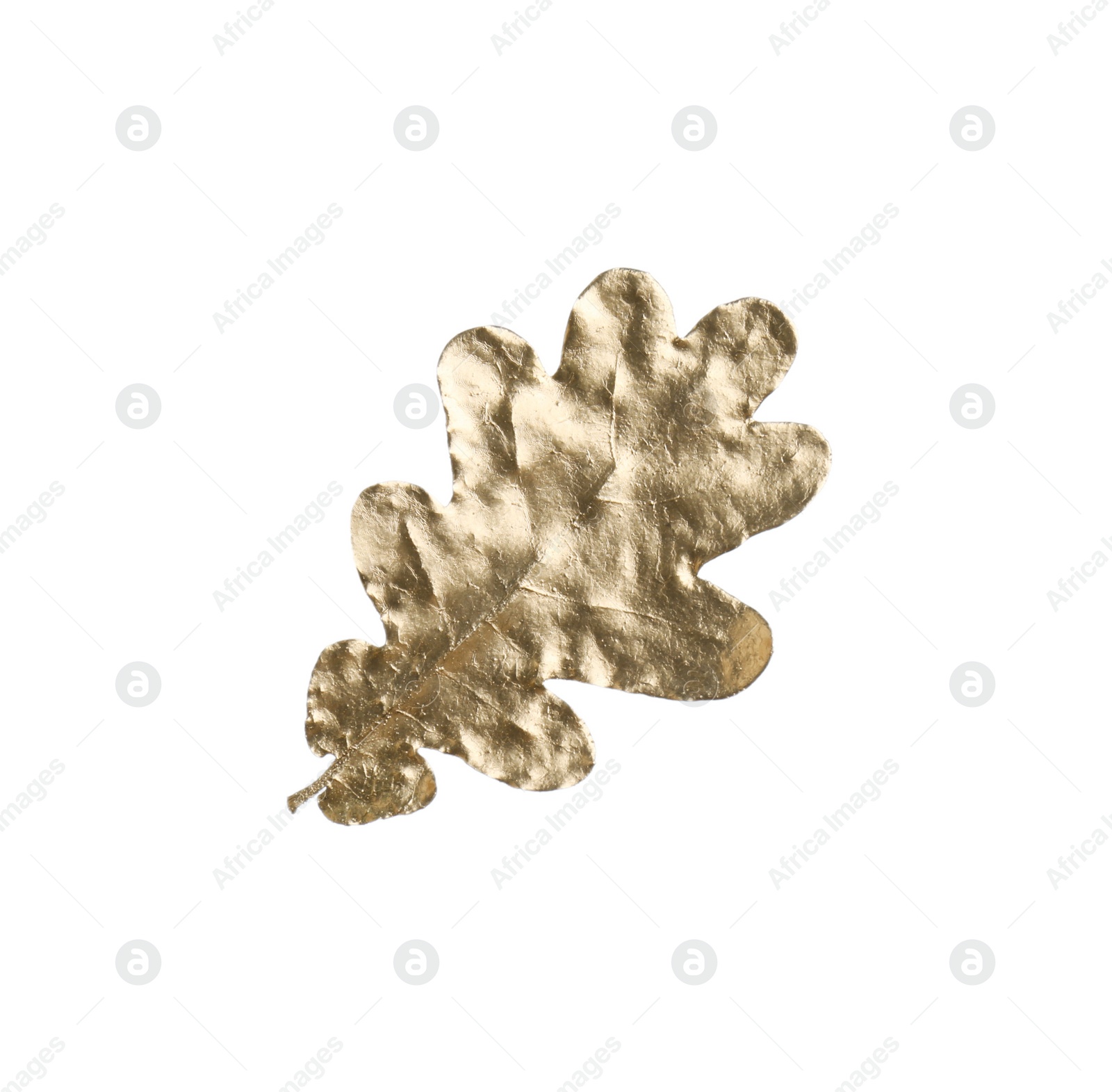 Photo of One golden oak leaf isolated on white. Autumn season