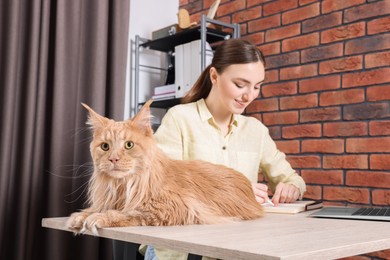 Photo of Woman working at desk, focus on cat. Home office