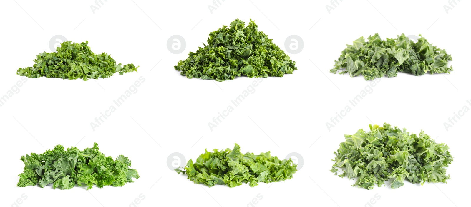 Image of Set of fresh green kale leaves on white background