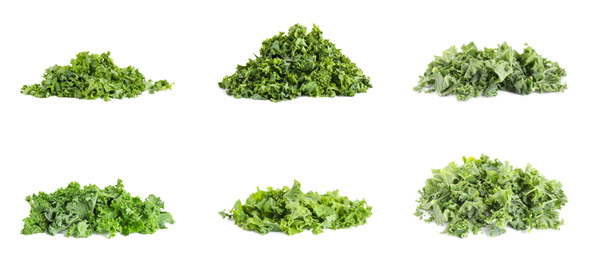 Set of fresh green kale leaves on white background