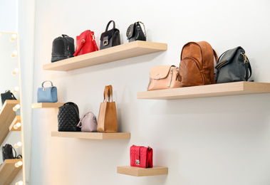 Photo of Stylish woman's bags on shelves in boutique