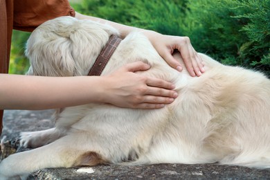 Woman checking dog's skin for ticks outdoors, closeup