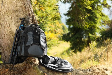 Backpack and photographer's equipment near tree outdoors