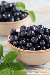 Bowls with tasty fresh bilberries and leaves on old light blue wooden table, closeup