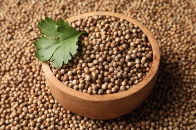 Photo of Bowl with dried coriander seeds and green leaf, closeup