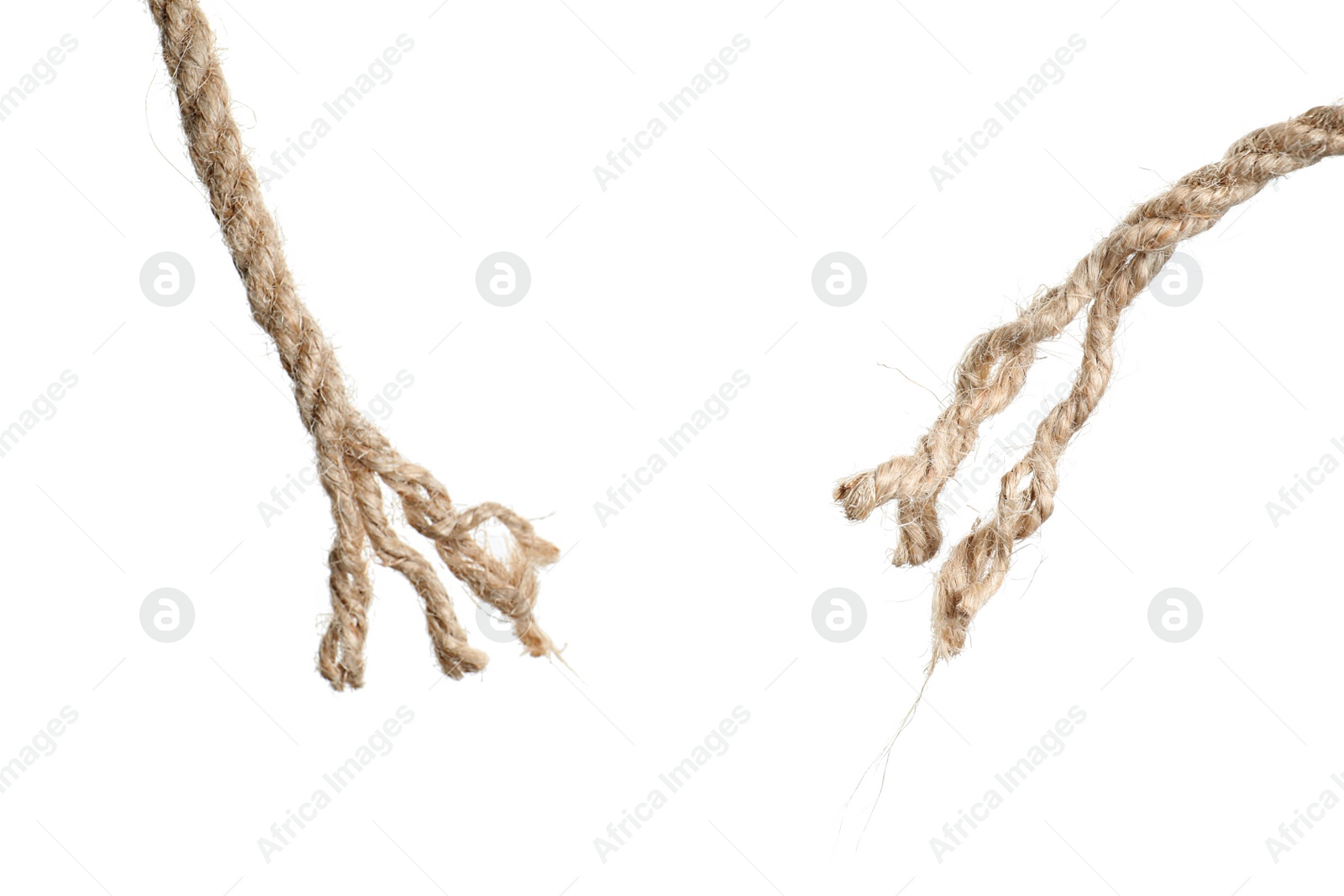 Photo of Rupture of cotton rope on white background