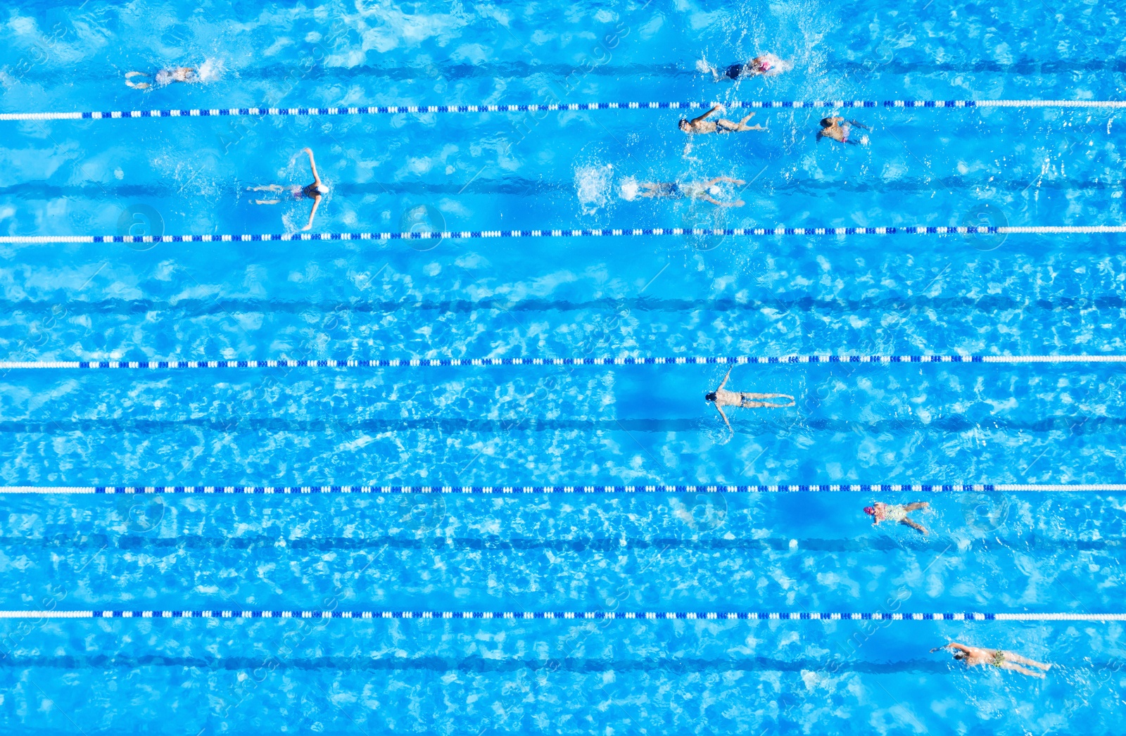 Image of People training in swimming pool, top view