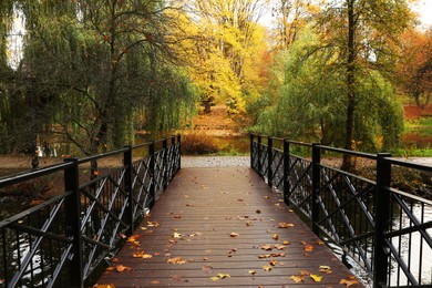 Photo of Bridge with black metal handrails and yellowed trees in park
