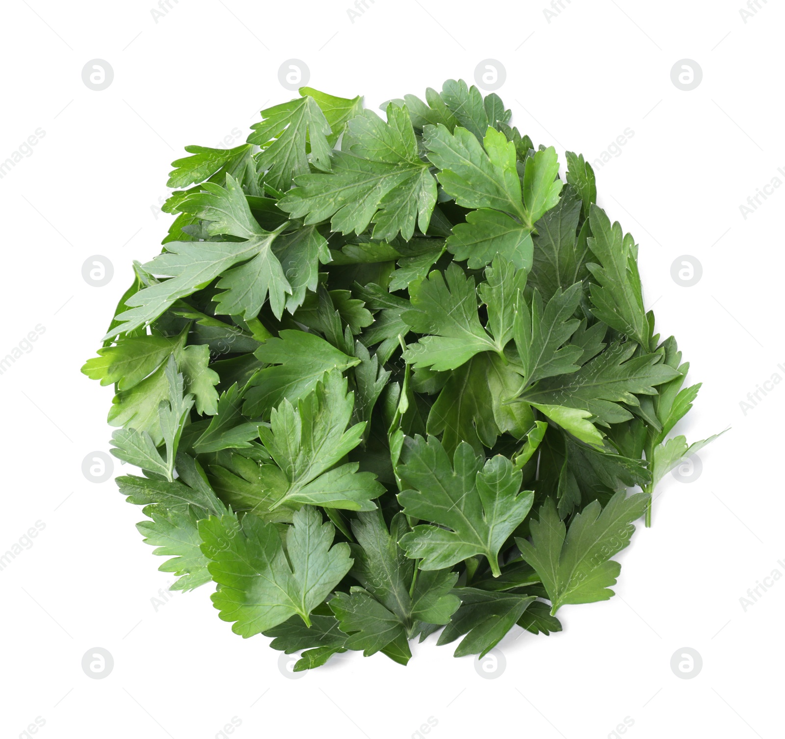 Photo of Pile of fresh green parsley on white background, top view