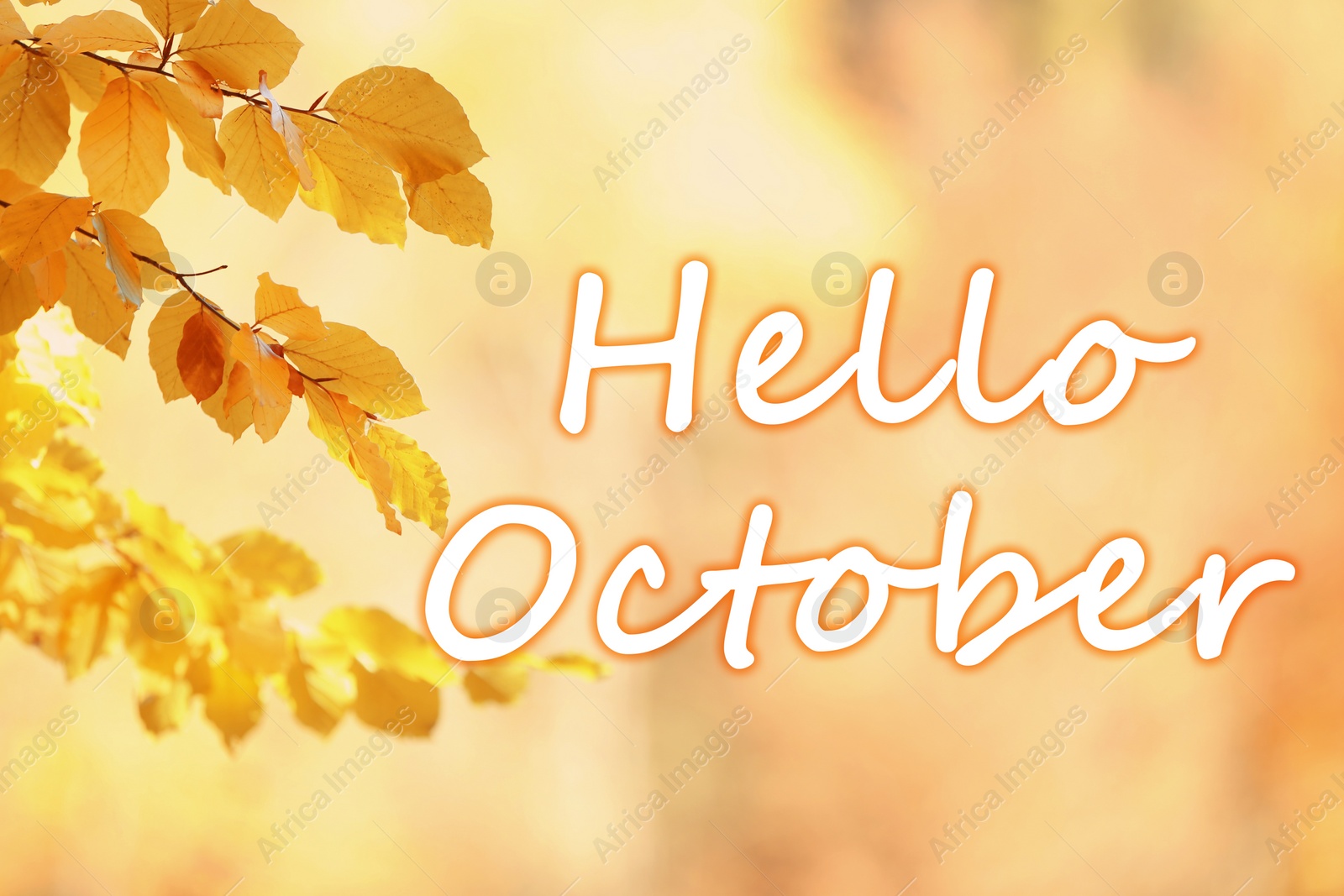 Image of Text Hello October and golden autumn leaves on blurred background