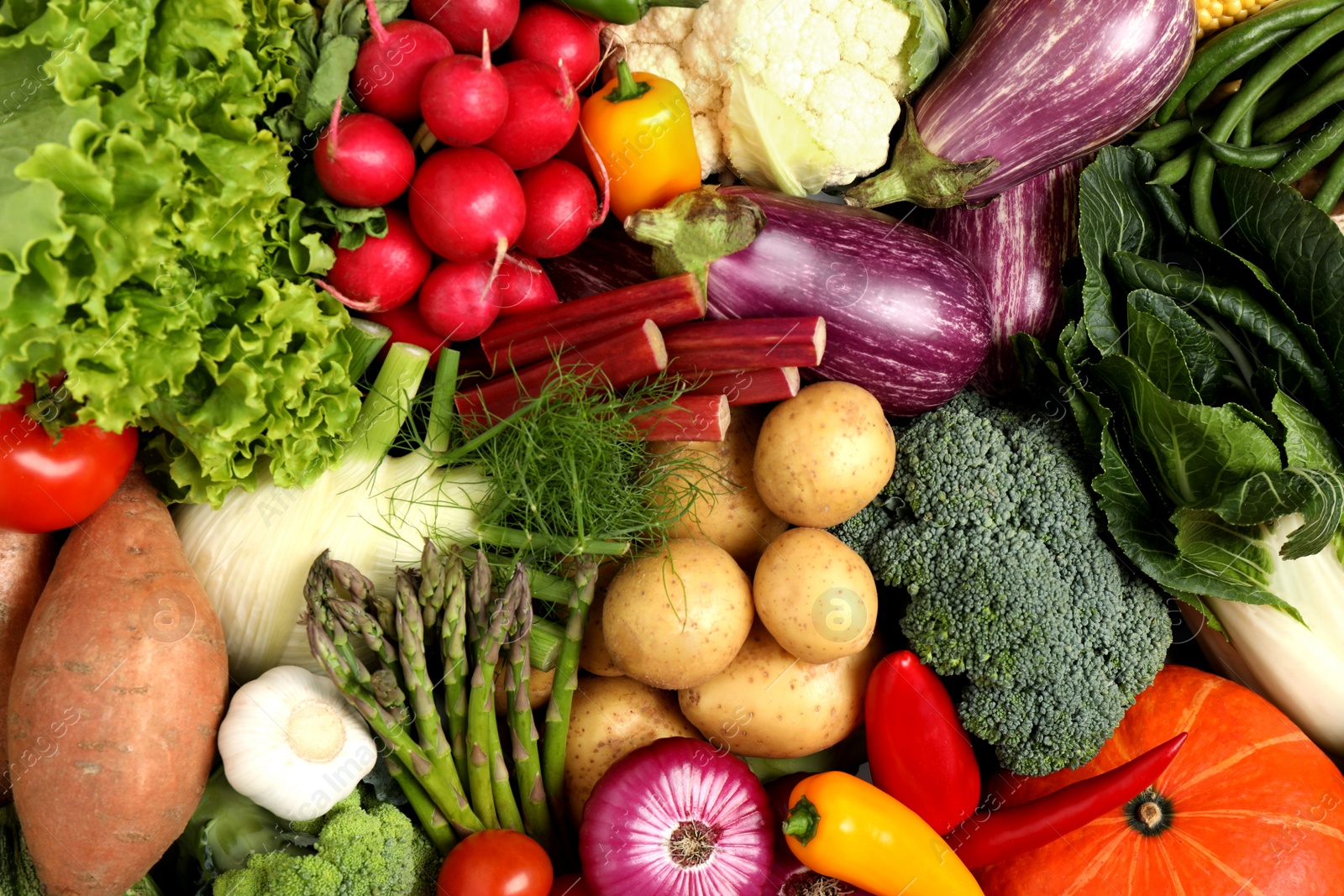 Photo of Different fresh vegetables as background, closeup view