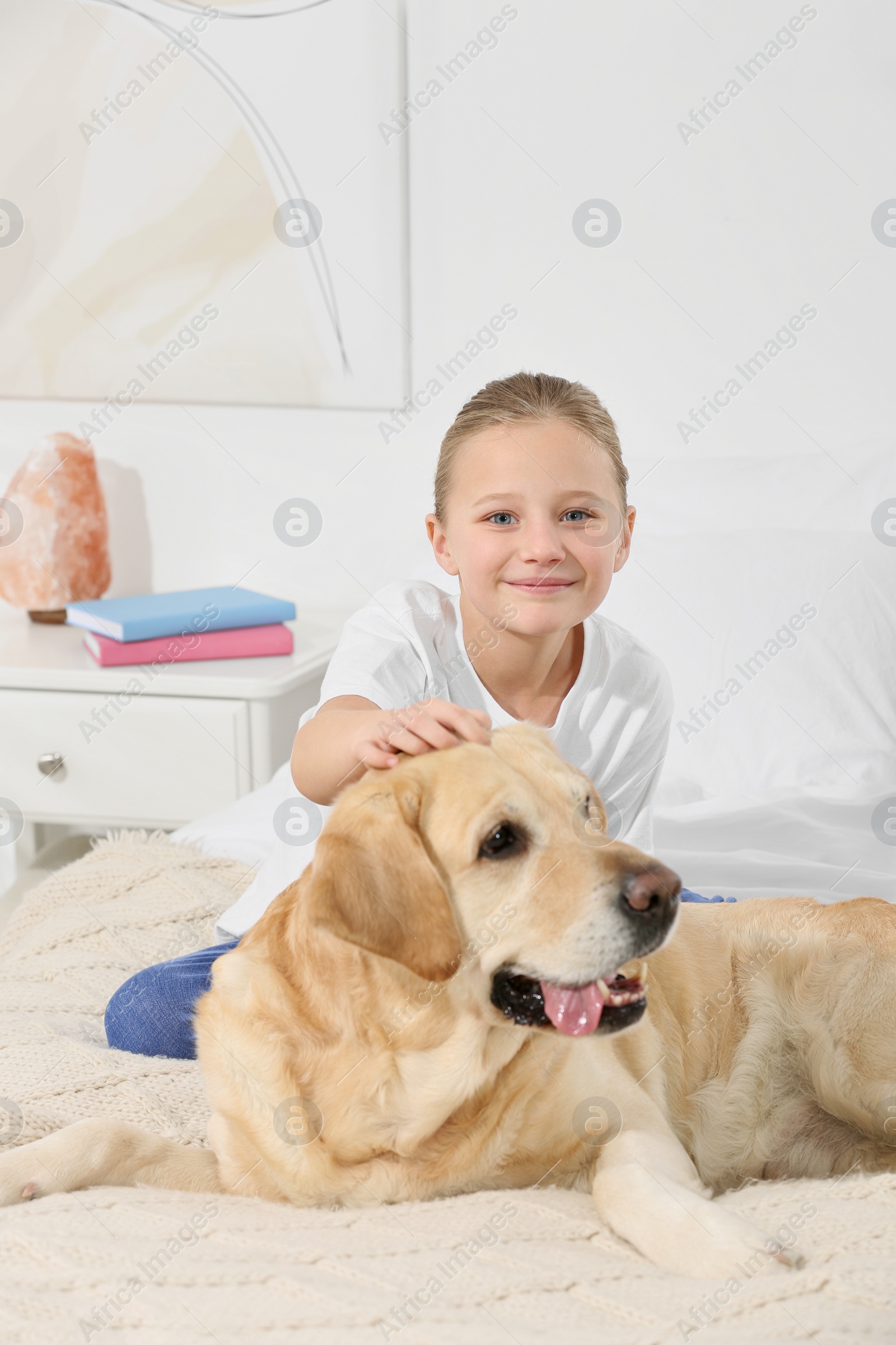 Photo of Cute child with her Labrador Retriever on bed at home. Adorable pet