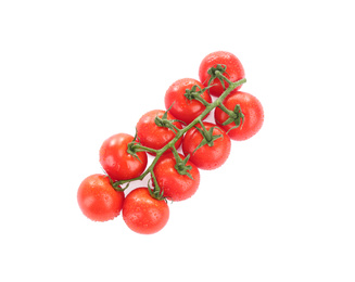 Photo of Branch of fresh cherry tomatoes with water drops isolated on white, top view