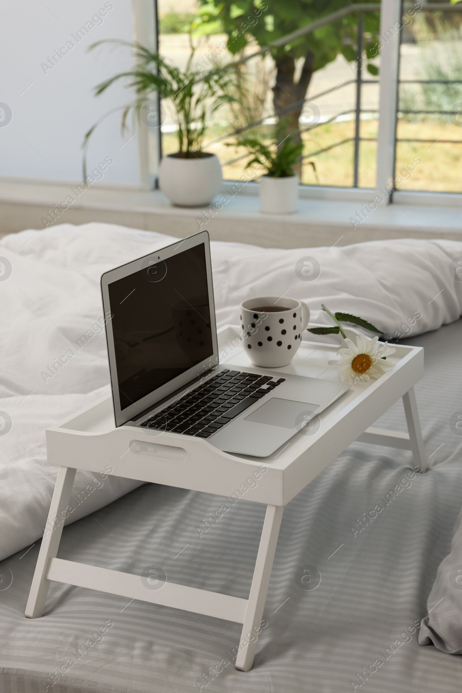 Photo of White tray table with laptop, cup of drink and daisy on bed indoors