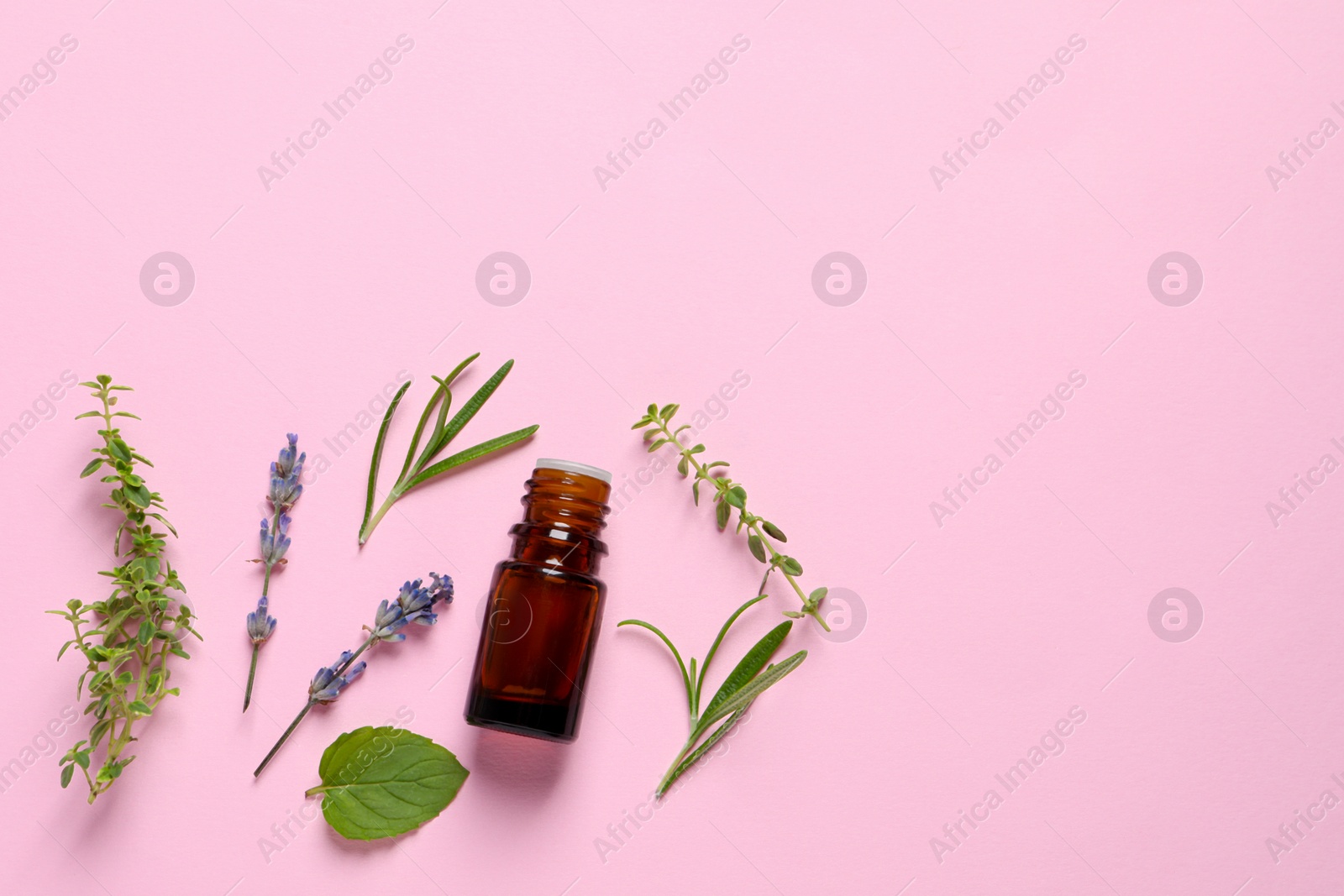 Photo of Bottle of essential oil, different herbs and flowers on pink background, flat lay. Space for text