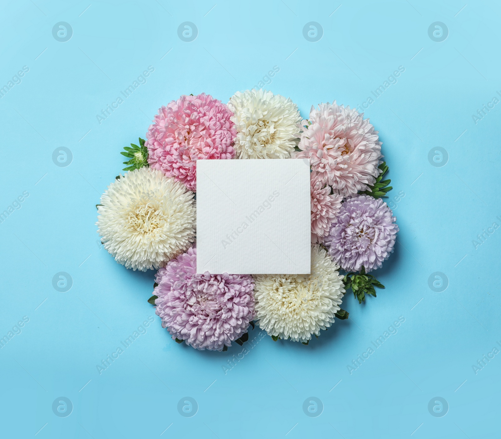 Photo of Beautiful aster flowers with sheet of paper on color background, top view. Space for text