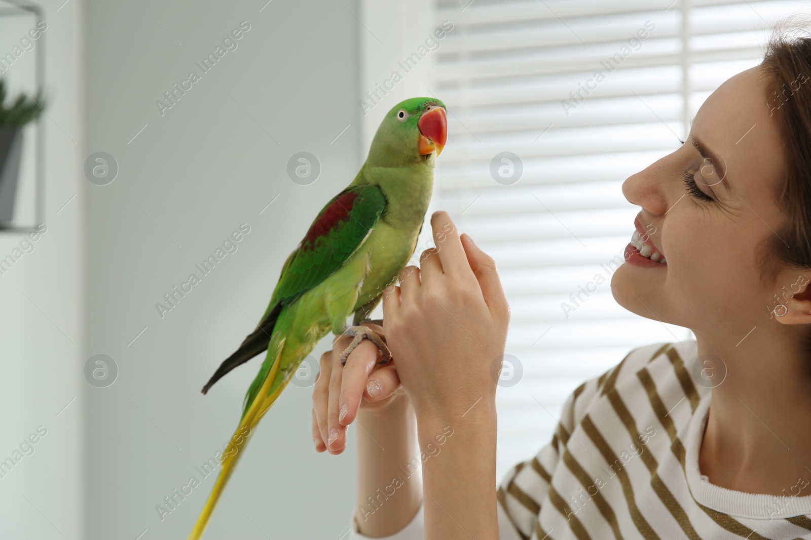 Photo of Young woman with cute Alexandrine parakeet indoors