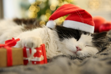 Photo of Adorable cat in Christmas hat lying near gift boxes on grey blanket, closeup