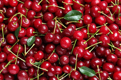 Photo of Sweet red cherries with water drops as background, closeup