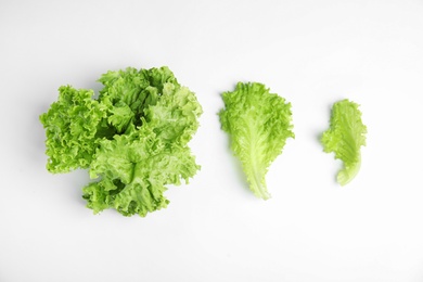 Photo of Leaves of fresh lettuce on white background, top view. Salad greens