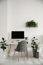 Modern workplace in room decorated with green potted plants. Home design