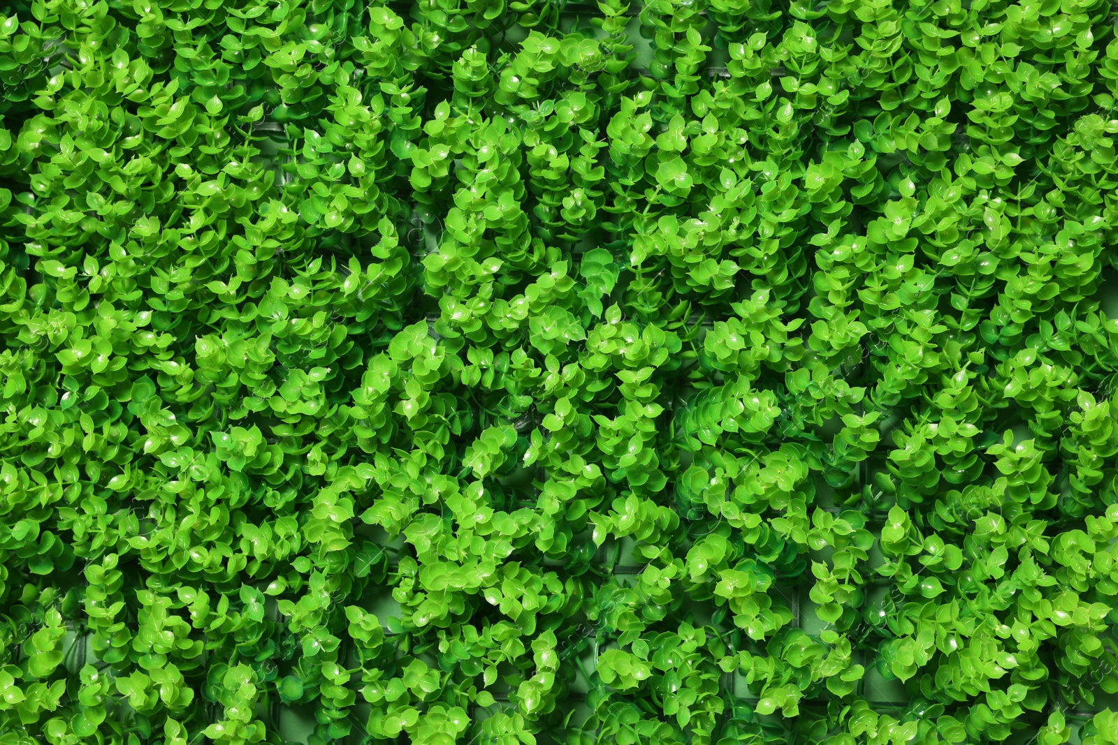 Photo of Green artificial plants as background, closeup view