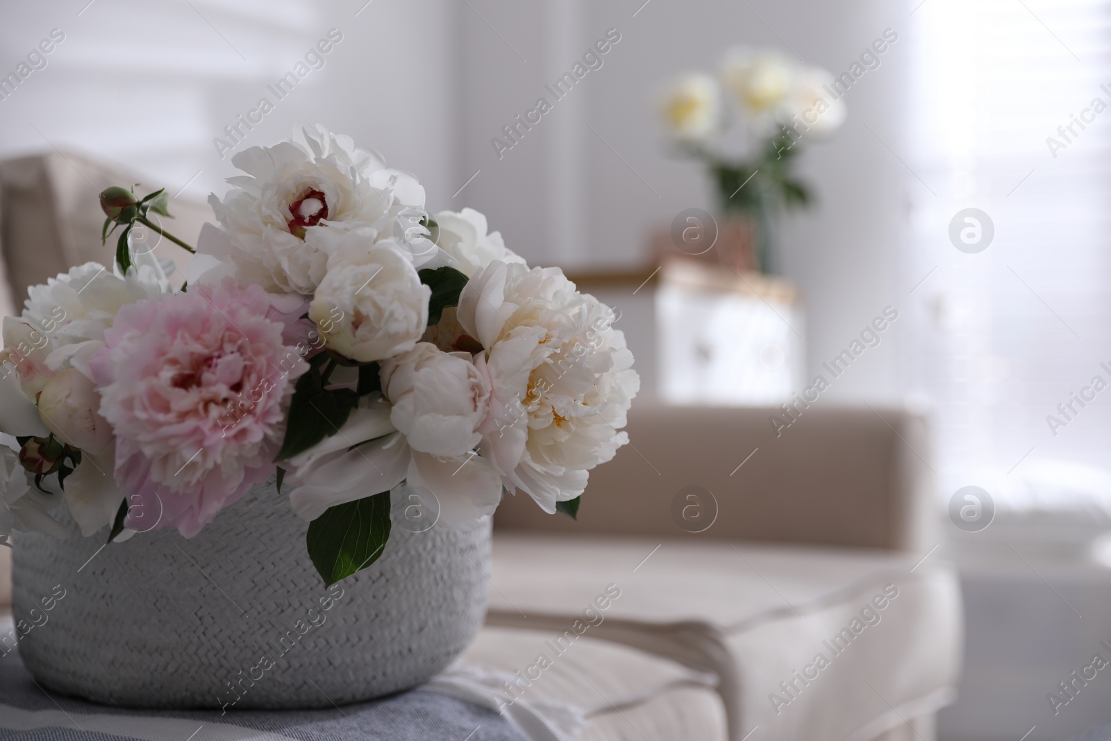 Photo of Bouquet of beautiful peony flowers in basket on sofa, closeup. Space for text