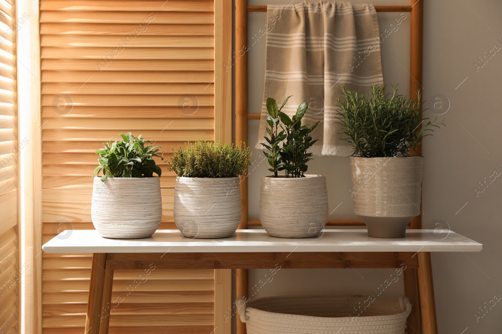 Photo of Different potted herbs on wooden table indoors