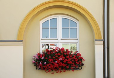 Photo of Window decorated with blooming beautiful potted flowers outdoors