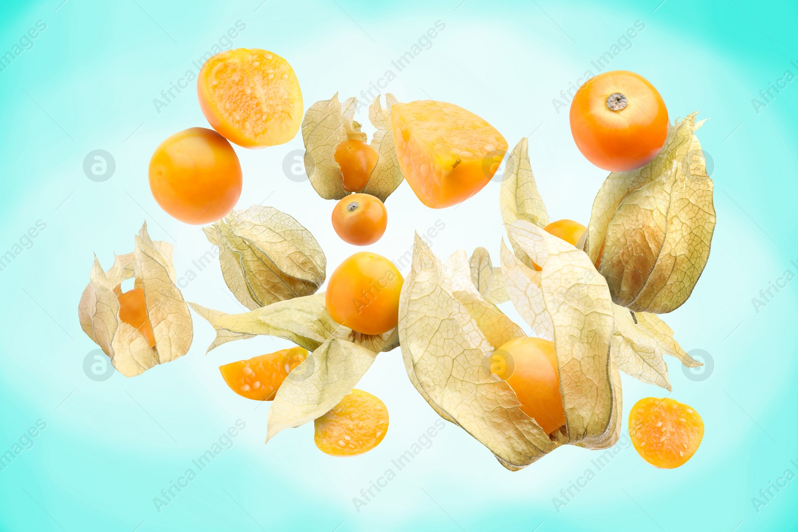 Image of Ripe orange physalis fruits with calyx falling on turquoise gradient background