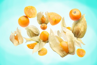 Ripe orange physalis fruits with calyx falling on turquoise gradient background