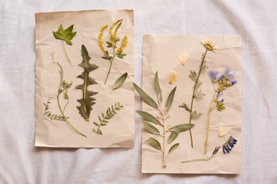 Photo of Sheets of paper with dried flowers and leaves on white fabric, flat lay