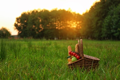 Picnic basket with snacks on green grass in park