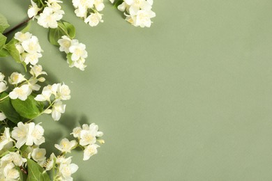 Photo of Beautiful jasmine flowers and leaves on pale green background, flat lay. Space for text