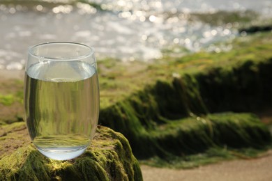 Glass of fresh water on stone with seaweed near sea, space for text