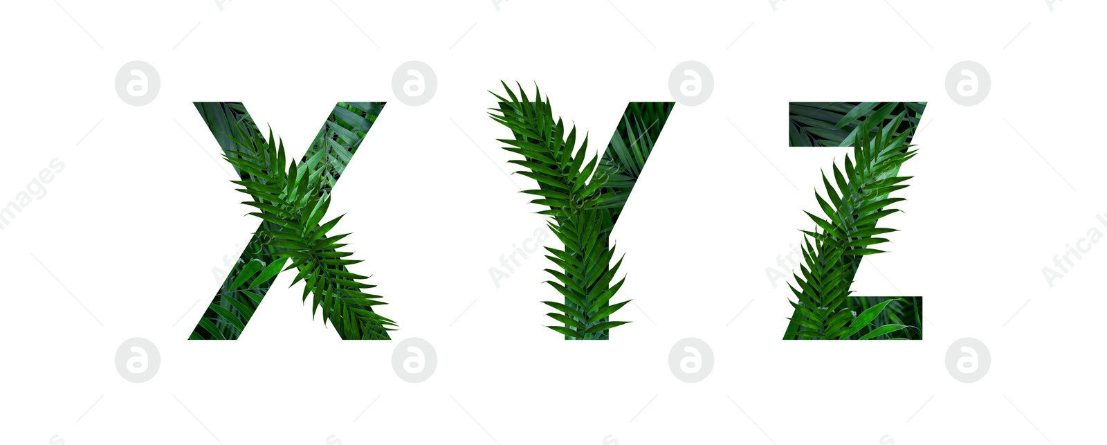 Image of Letters X, Y, Z decorated with floral pattern on white background. Banner design