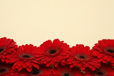 Photo of Beautiful bright red gerbera flowers on beige background, top view. Space for text