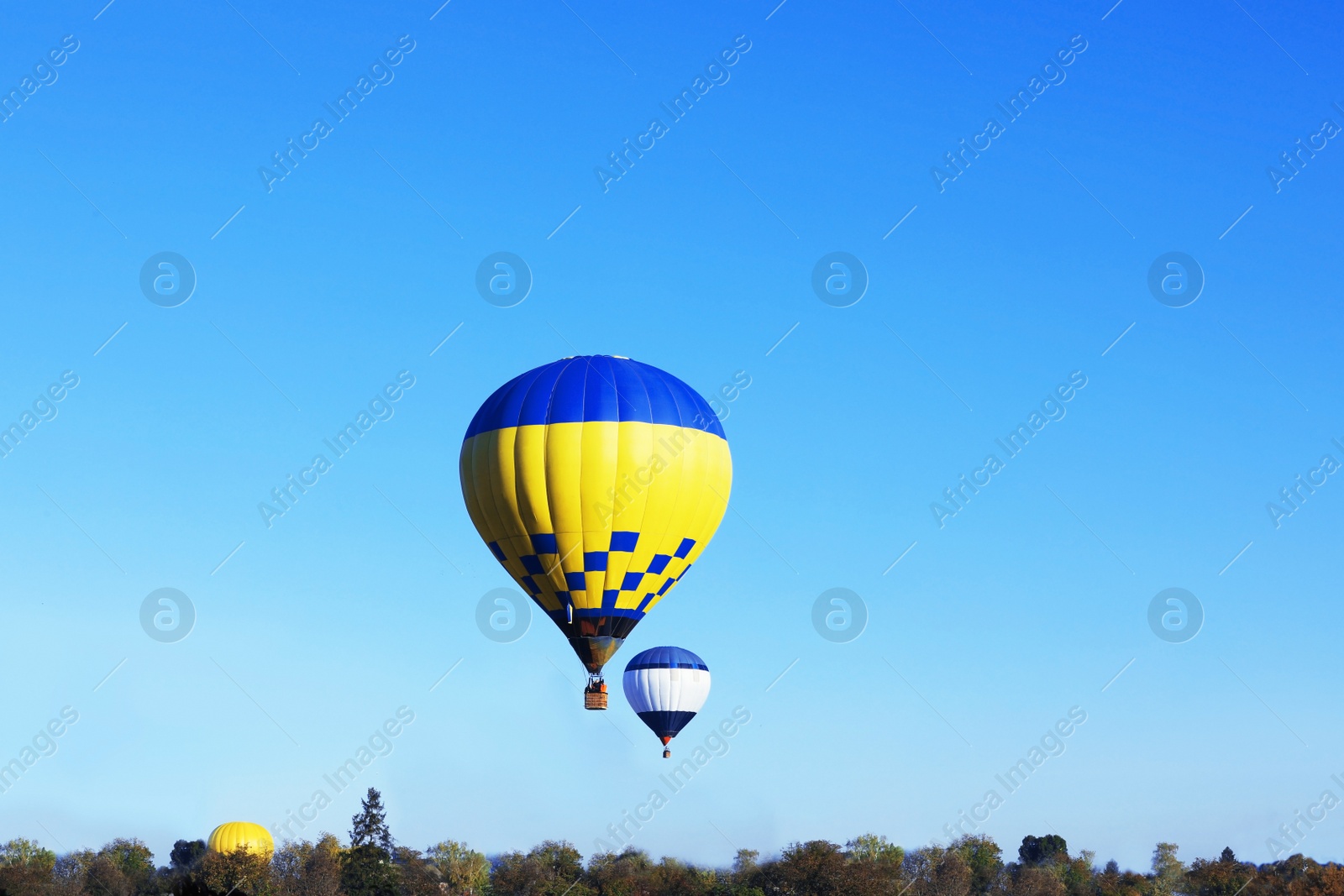 Photo of Beautiful view of hot air balloons in blue sky