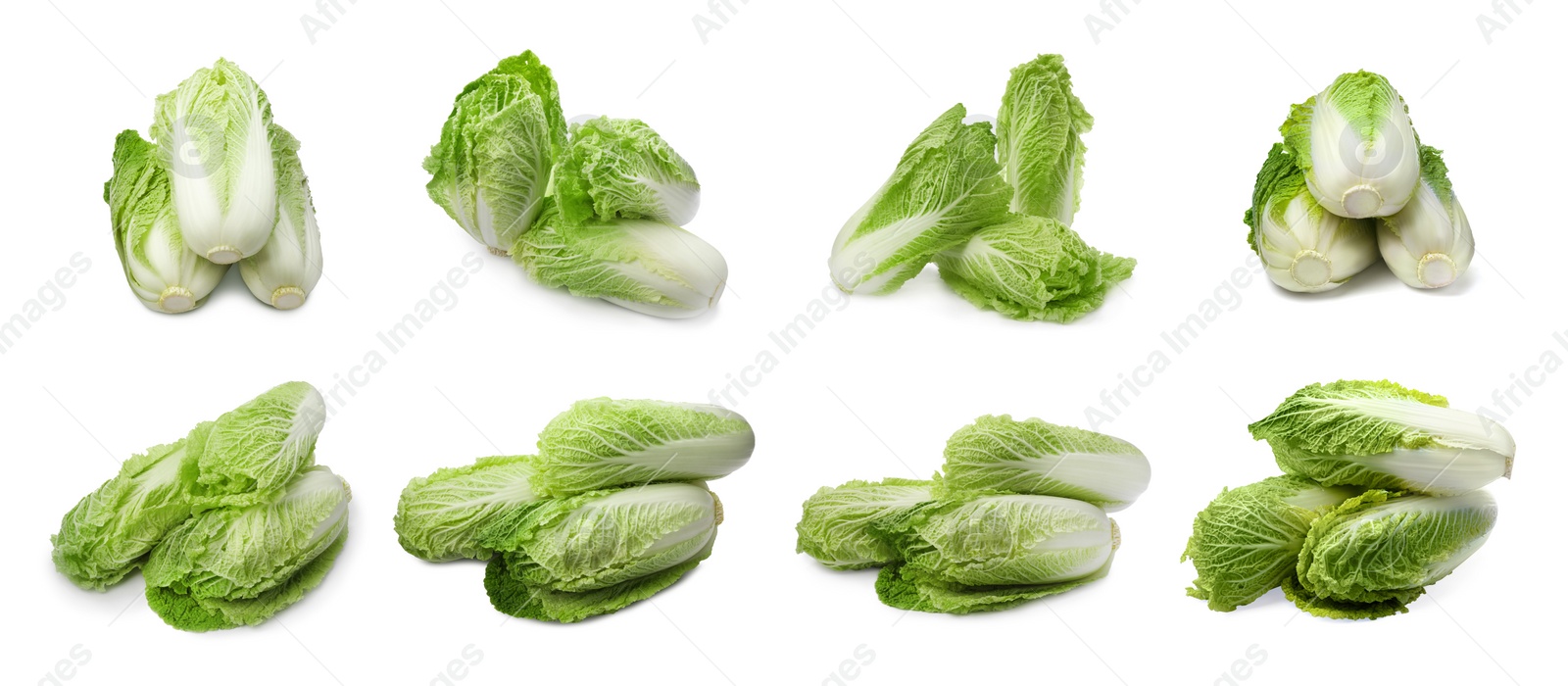 Image of Collage with fresh Chinese cabbages on white background