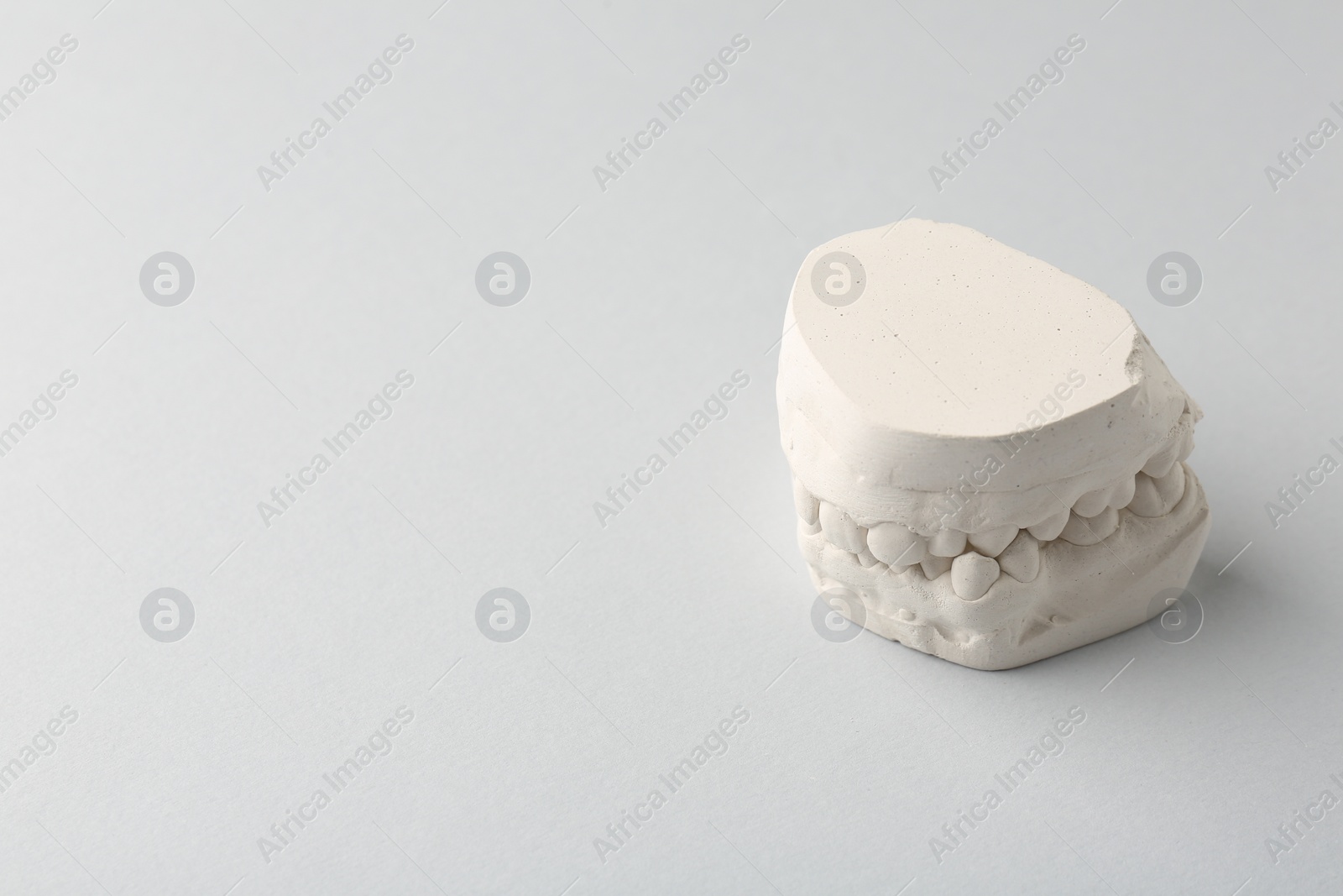 Photo of Dental model with gums on light grey background, space for text. Cast of teeth