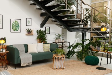 Stylish living room interior with comfortable sofa and green plants